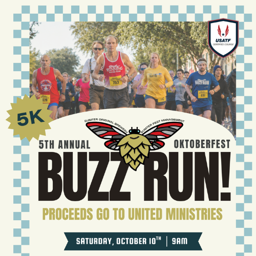 Buzz Run