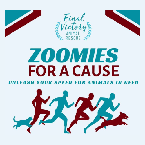 Final Victory Animal Rescue: Zoomies for a Cause