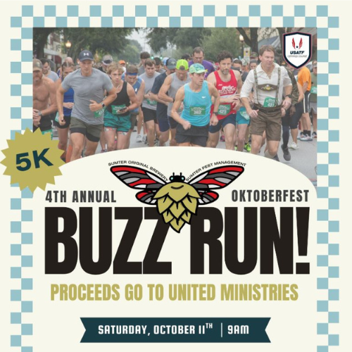 Buzz Run