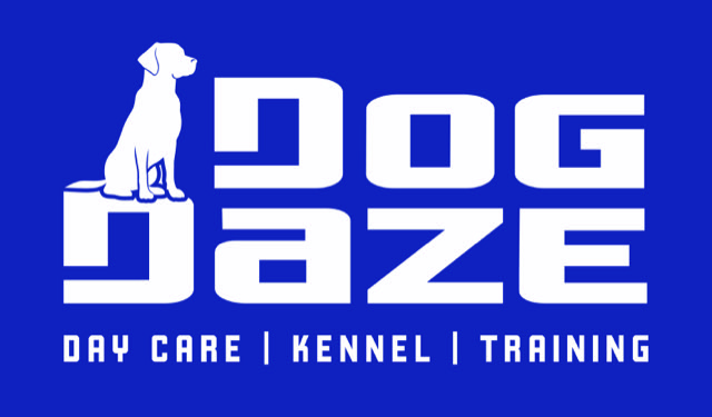 Dog Daze